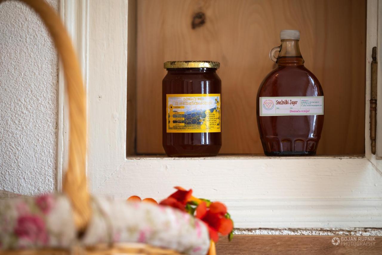 Cherry House - Cosy House - Ideal For Bear Watching, In The Neighborhood Of The Medieval Sneznik Castle Stari Trg pri Lozu Εξωτερικό φωτογραφία