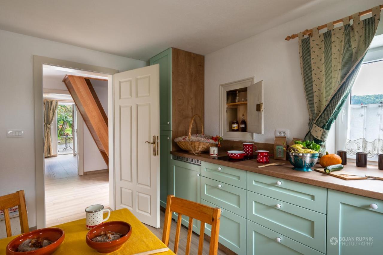 Cherry House - Cosy House - Ideal For Bear Watching, In The Neighborhood Of The Medieval Sneznik Castle Stari Trg pri Lozu Εξωτερικό φωτογραφία