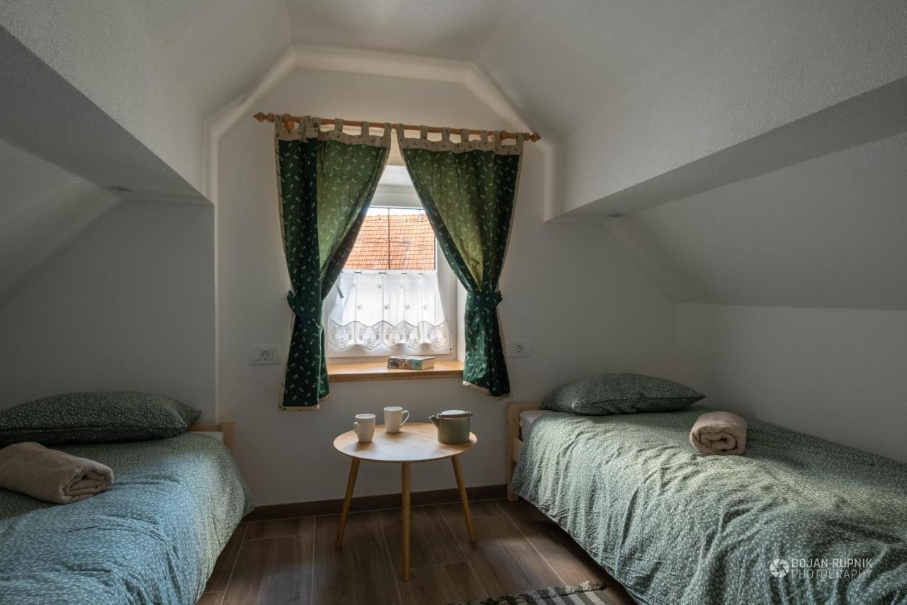 Cherry House - Cosy House - Ideal For Bear Watching, In The Neighborhood Of The Medieval Sneznik Castle Stari Trg pri Lozu Εξωτερικό φωτογραφία