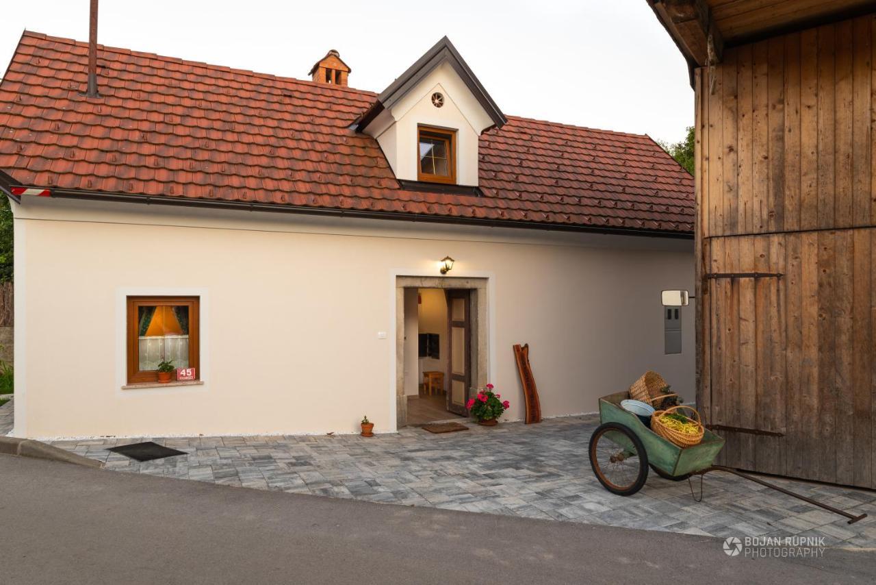 Cherry House - Cosy House - Ideal For Bear Watching, In The Neighborhood Of The Medieval Sneznik Castle Stari Trg pri Lozu Εξωτερικό φωτογραφία