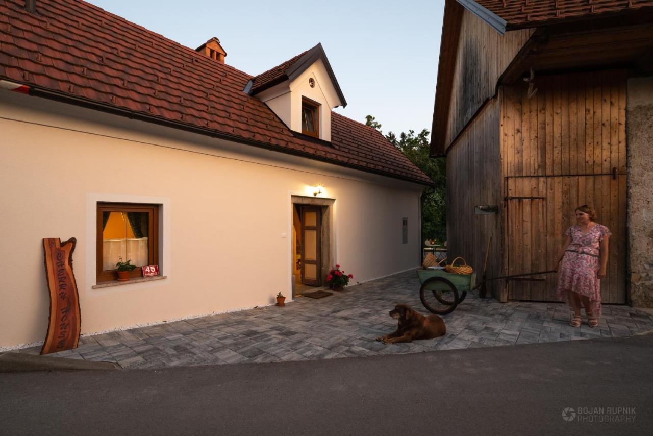 Cherry House - Cosy House - Ideal For Bear Watching, In The Neighborhood Of The Medieval Sneznik Castle Stari Trg pri Lozu Εξωτερικό φωτογραφία